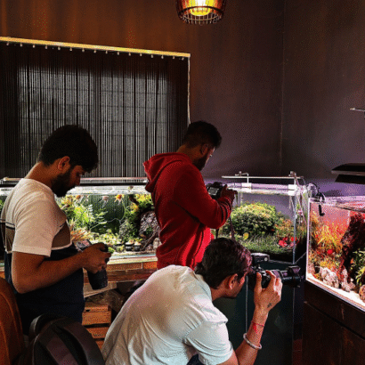 Outdoor Fish Aquarium Photography