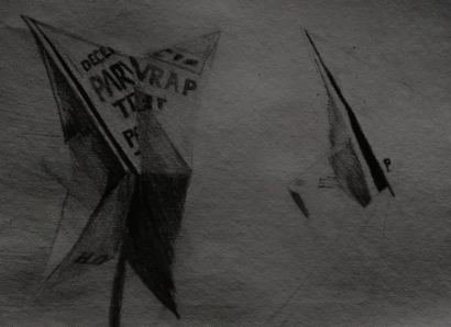 Observational Drawing